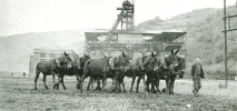 Cuadrero con mulas en el Pozo Sotón,1946